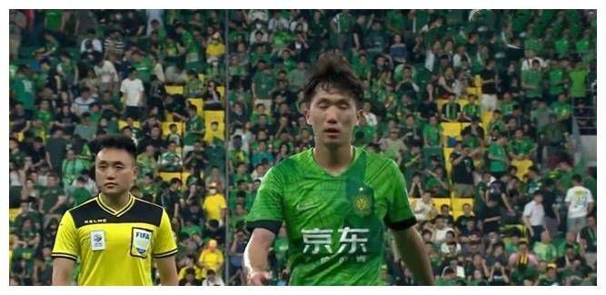 欧洲av免费看