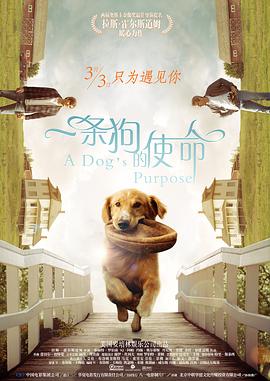 欧美三级伦理