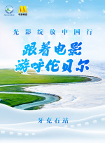 nvisual有破解版的吗