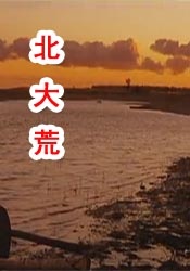 少妇久久精品