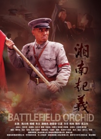 又见小姨