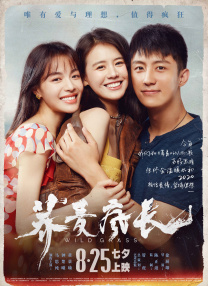 欧美三级网络