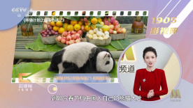 中文字幕一区视频一线